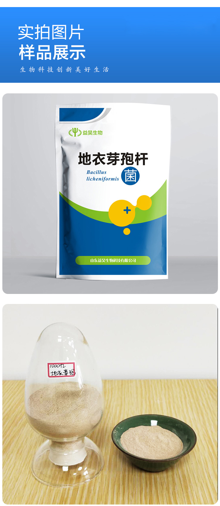 地衣芽孢桿菌 地衣芽孢桿菌