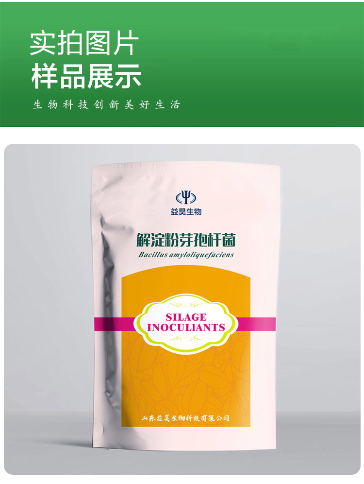 解淀粉芽孢桿菌 解淀粉芽孢桿菌